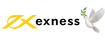Understanding the Exness IB Program How to Maximize Your Earnings